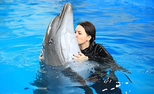 Фото тура  "Выходные с дельфинами (2 дня)" от Компании РусИнТур